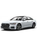 2019 - 2025 Plafon simplu