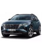 2021 - ... Bare integrate